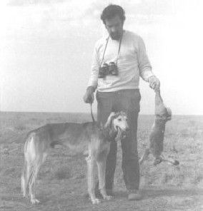 What The Standard Doesn’t Tell You